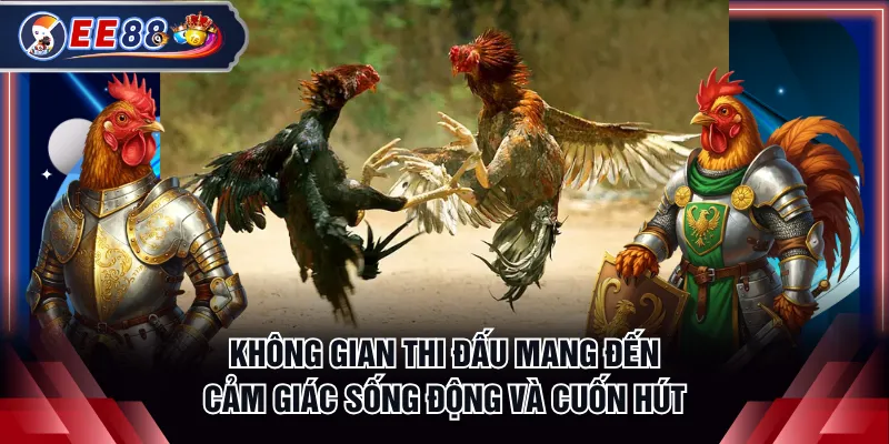 Không gian thi đấu mang đến cảm giác sống động và cuốn hút